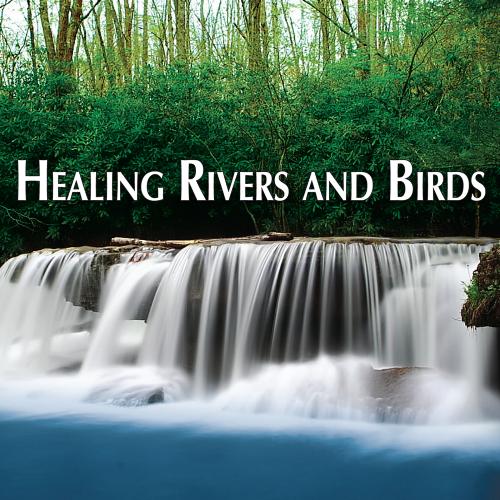 Healing Rivers and Birds: Soothing Nature Sounds for Relaxing Mind & Body