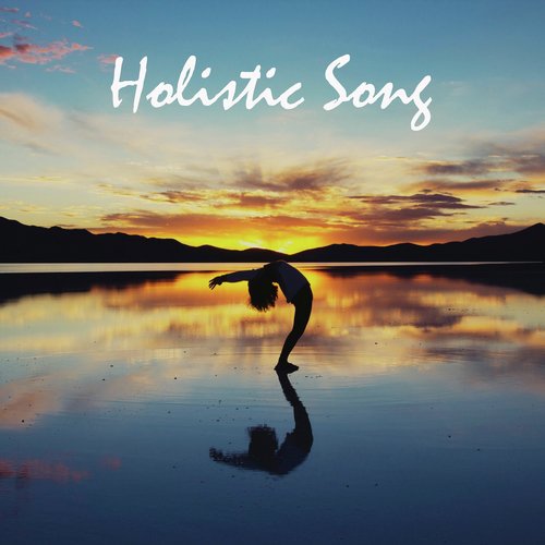 Holistic Song_poster_image