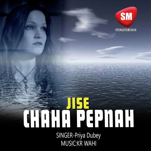 Jise Chaha Bepanah (Hindi Sad Song)