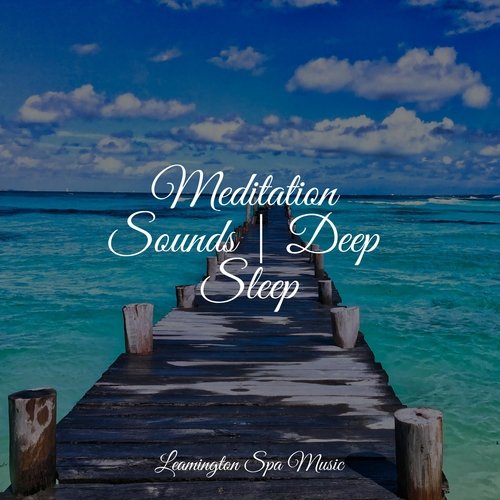 Meditation Sounds | Deep Sleep