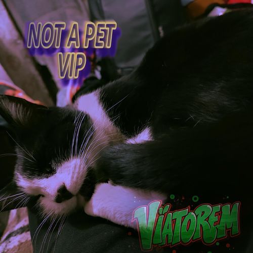 NOT A PET (VIP)