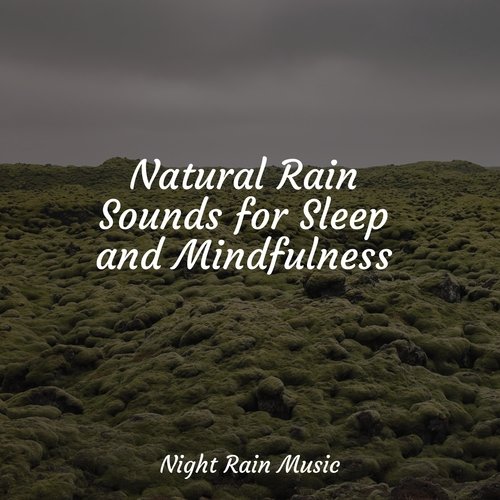 Rain, Storm and Thunder cover art