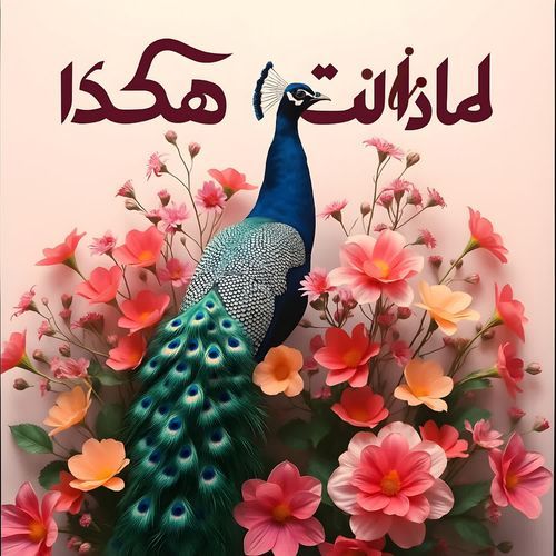 لماذا انت هكذا