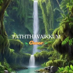 Paththavaikkum (Cover)-My5ZViUdc3U