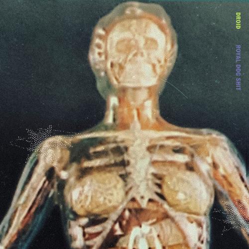 Zen Ken cover art
