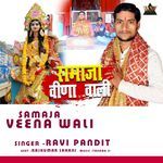 Samaja Veena Wali