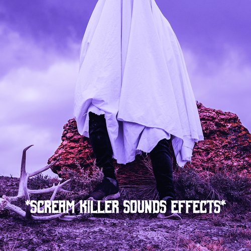 Sounds From The Haunted House cover art