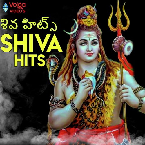 Namah Shivaya Download Song From Shiva Hits Jiosaavn