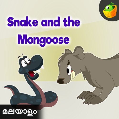 Snake And The Mongoose