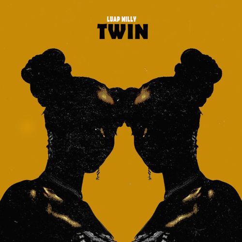 TWIN cover art