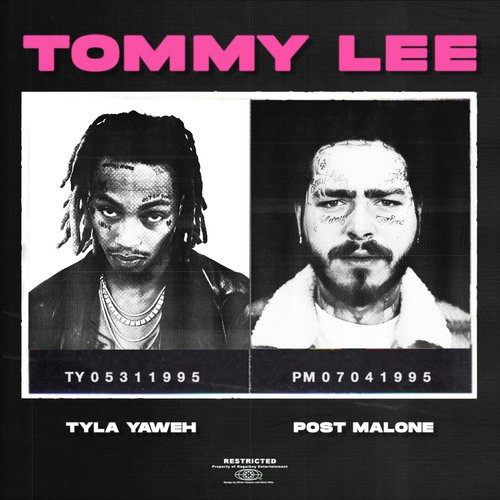 Tommy Lee_poster_image