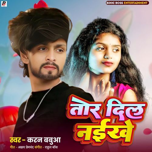 Tor Dil Naikhe