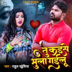 Tu Kaise Bhula Gailu