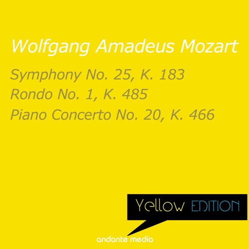 Symphony No. 25 in G Minor, K. 183: II. Andante