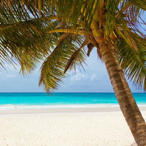 25 Ultimate Ambient Nature Music Classics