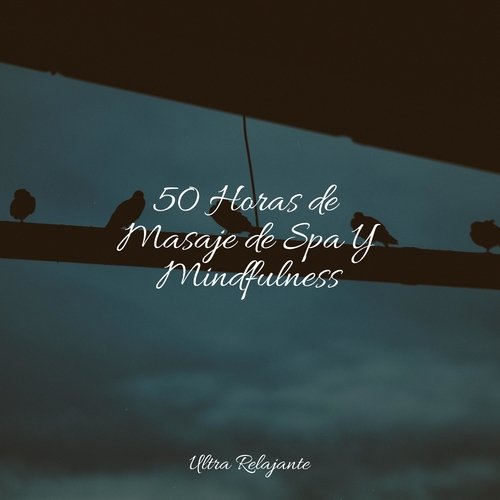 50 Horas de Masaje de Spa Y Mindfulness