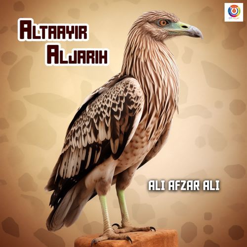 Altaayir Aljarih - Ali Afzar Ali
