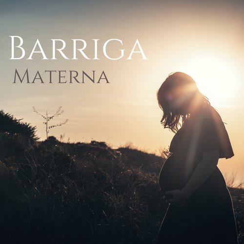Musica Suave cover art