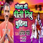 Bhola Ji Pili Nimbu Pudina (Bhojpuri)