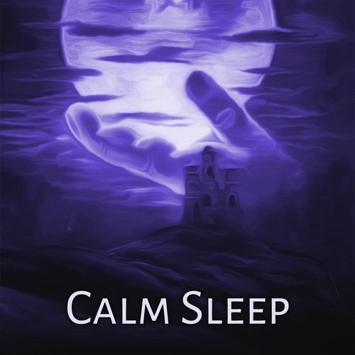 Calm Sleep – Peaceful Sounds of Nature for Sleep Well, Deep Sleep, Easy Sleep, White Noise Natural Relax_poster_image