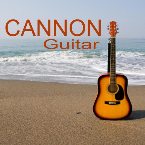 Cannon Guitar