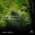 Classical Music for Forest Meditation
