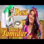 Desi Jamidar