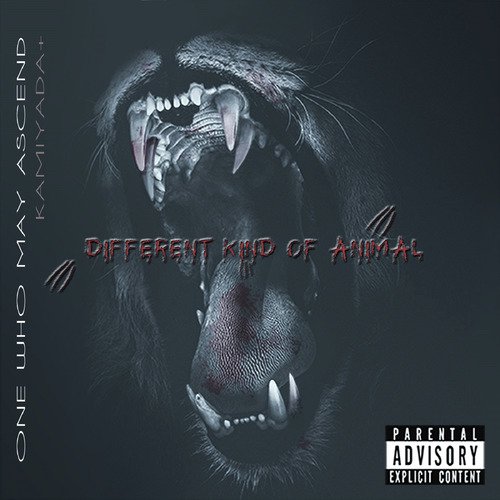 Different Kind of Animal_poster_image