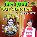 Dil Tumko Diya Nandlala (Hindi)