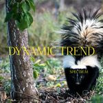 Dynamic Trend