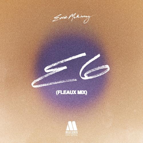 E6 (FLEAUX Remix) cover art
