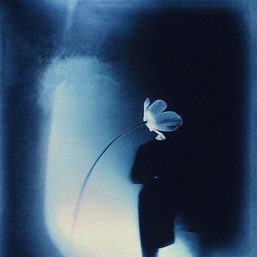 Echo