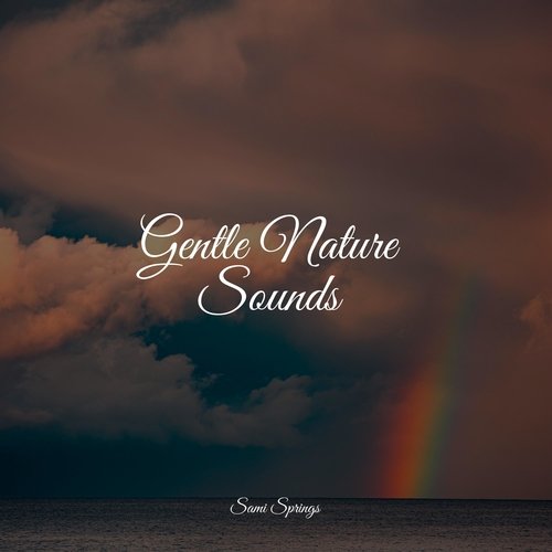 Gentle Nature Sounds_poster_image