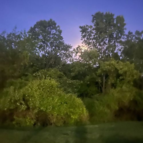 Godrays cover art