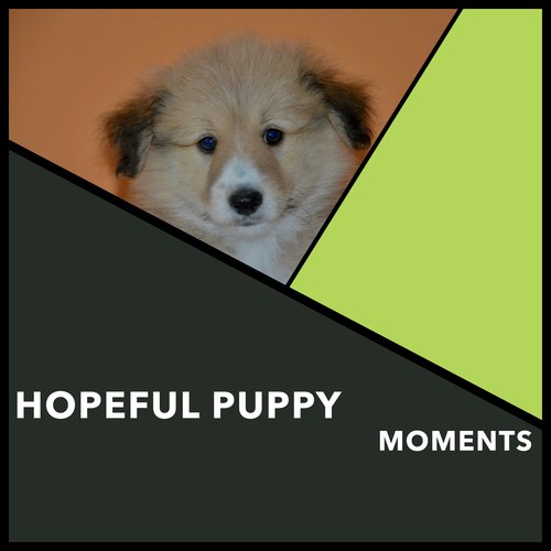 Heavenly Harmony cover art