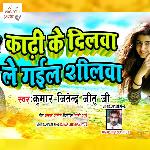 Kadhi Ke Dilwa Le Gayil Shilwa