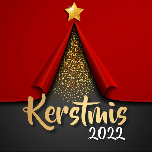 Christmas Party cover art