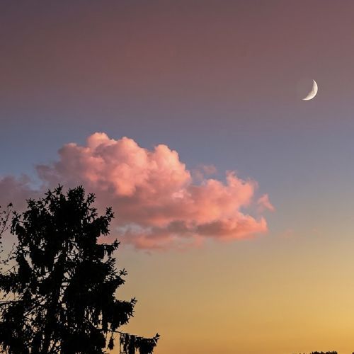 Late Evening