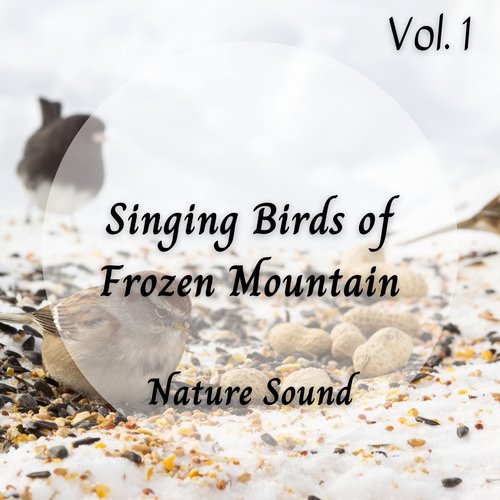 Nature Sound: Singing Birds of Frozen Mountain Vol. 1