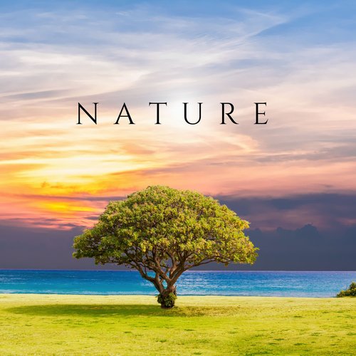 Nature_poster_image