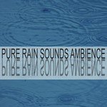 Pure Rain Sounds Ambience