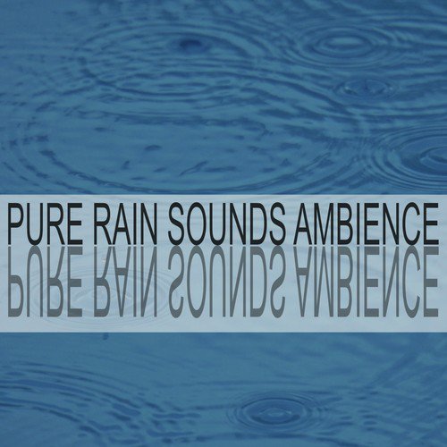 Pure Rain Sounds Ambience_poster_image