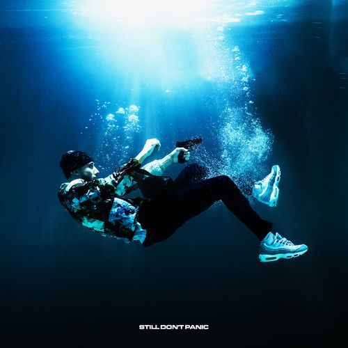 ZIMMER cover art