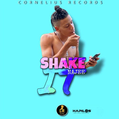 Shake It