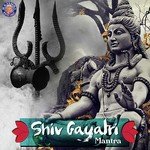 Shiv Gayatri Mantra