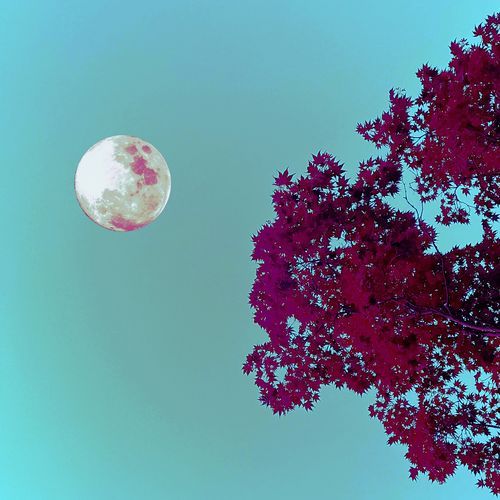 Solution cover art