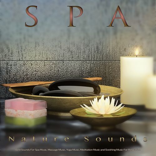 Relaxing Music for Healing cover art