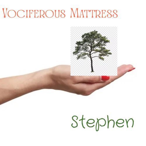 Stephen cover art