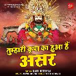 Tumhari Kripa Ka Hua Hain Aasar