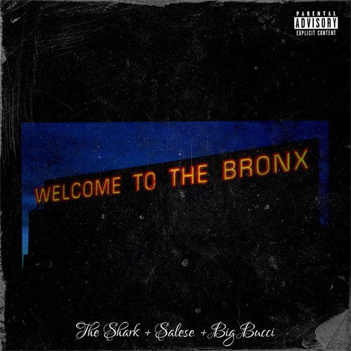 Welcome to the Bronx